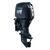 Мотор Reef Rider RREF60FVEL-T, фото 
