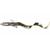 Приманка мягкая SAVAGE GEAR 4D Real Eel 30cm 80g S Olive/Pearl Php, фото 