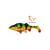 Приманка мягкая SAVAGE GEAR 4D Perch Shad 17.5cm 67g SS Firetiger, фото 