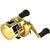 Катушка SHIMANO Calcutta Conquest A 201 LH, фото 