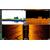 Датчик Эхолота Lowrance ActiveImaging HD™ 3-в-1 FishReveal High/Wide, фото , изображение 5