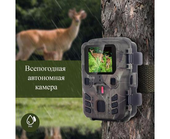 Фотоловушка SUNTEK 301 мини, фото 