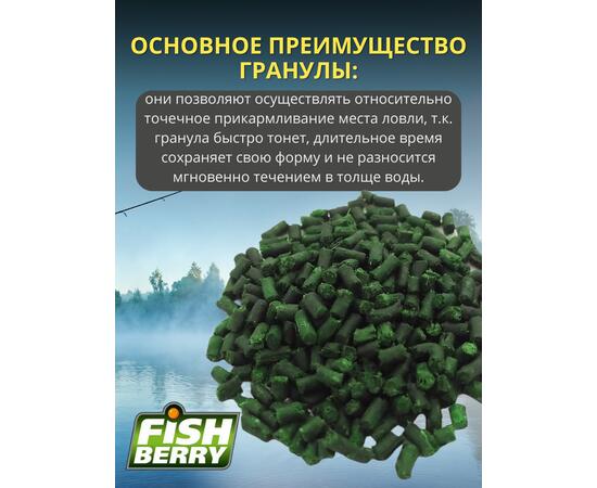 FishBerry Пеллетс карповый (бетаин, цв. -зеленый) 2мм - 1 кг, Вкус: морепродукты, Вид рыбы: Карп, Диаметр (мм): 2, фото , изображение 3