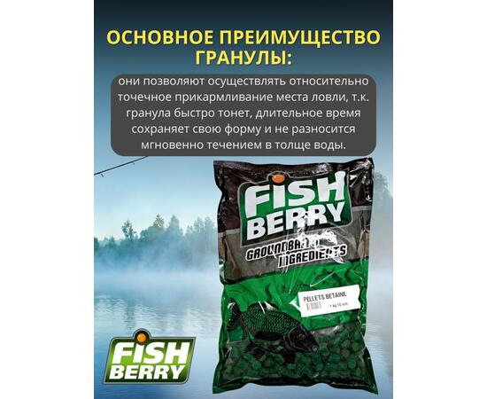FishBerry Пеллетс карповый (бетаин, цв. -зеленый) 10мм - 1 кг, Вкус: морепродукты, Вид рыбы: Карп, Диаметр (мм): 10, фото , изображение 3