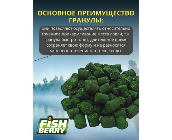FishBerry Пеллетс карповый (бетаин, цв. -зеленый) 6мм - 1 кг, Вкус: морепродукты, Вид рыбы: Карп, Диаметр (мм): 6, фото , изображение 3