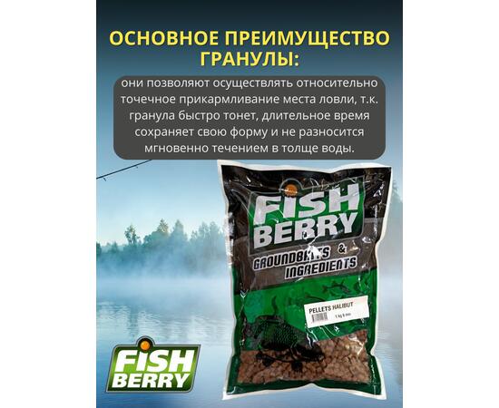 FishBerry Пеллетс карповый (палтус, цв. -бордовый) 6мм - 1 кг, Вкус: палтус, Вид рыбы: Карп, Диаметр (мм): 6, фото , изображение 3