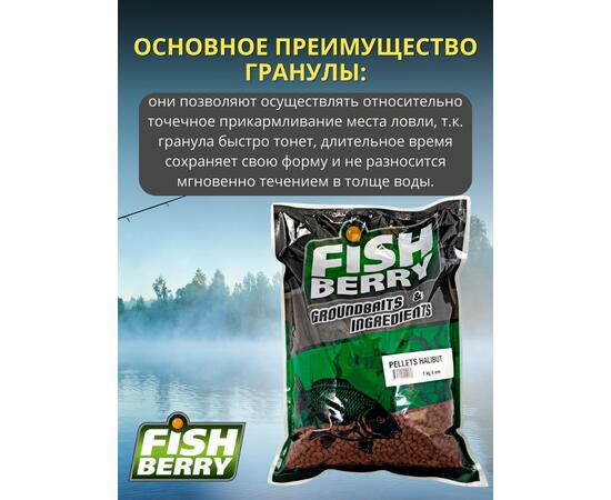 FishBerry Пеллетс карповый (палтус, цв. -бордовый) 4мм - 1 кг, Вкус: палтус, Вид рыбы: Карп, Диаметр (мм): 4, фото , изображение 3