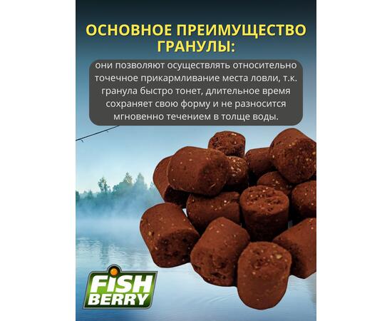 FishBerry Пеллетс карповый (палтус, цв. -бордовый) 16мм - 1 кг, Вкус: палтус, Вид рыбы: Карп, Диаметр (мм): 16, фото , изображение 3
