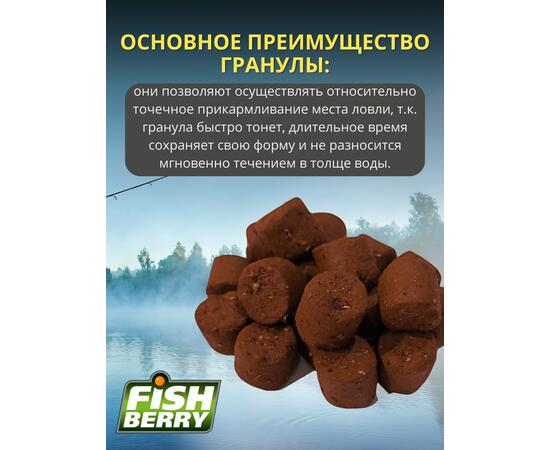 FishBerry Пеллетс карповый (палтус, цв. -бордовый) 14мм - 1 кг, Вкус: палтус, Вид рыбы: Карп, Диаметр (мм): 14, фото , изображение 3