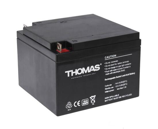 АККУМУЛЯТОР THOMAS (22 A/H), 12V, фото 