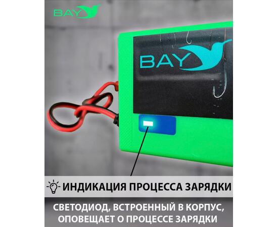 Зарядное устройство Bay LiFePO4 12V 10A, фото , изображение 4