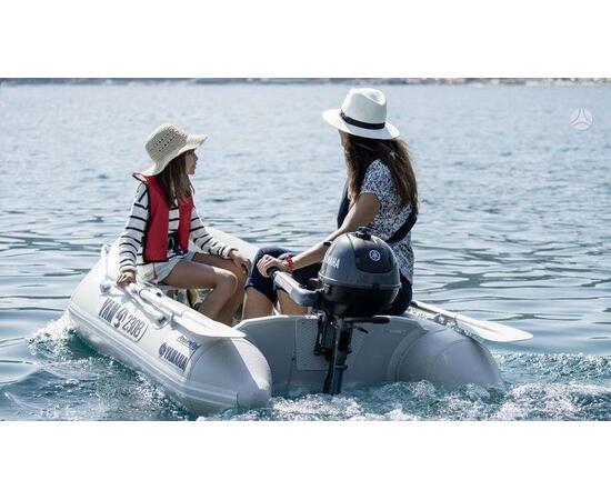 Лодочный мотор Yamaha F2.5BMHS, фото , изображение 5