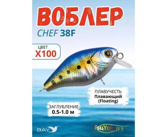 Воблер TsuYoki CHEF 38F X100, Цвет: X100, Вес воблера (г): 4,3, Длина воблера (мм): 38, Тип воблера: Крэнк, Тип плавучести воблера: плавающий, Штрихкод: 462713999, Количество крючков: 2, фото 