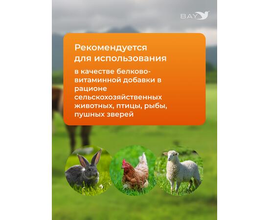МДК Дрожжи кормовые сушеные 20кг, Вес, гр: 20000, Количество: 1, фото , изображение 2