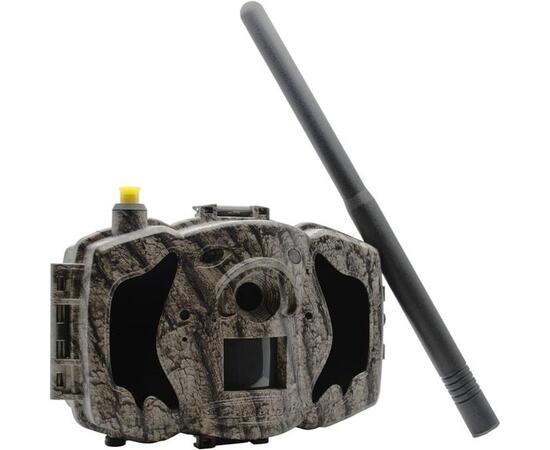 Фотоловушка BolyGuard BG584G-24mHD, фото , изображение 3