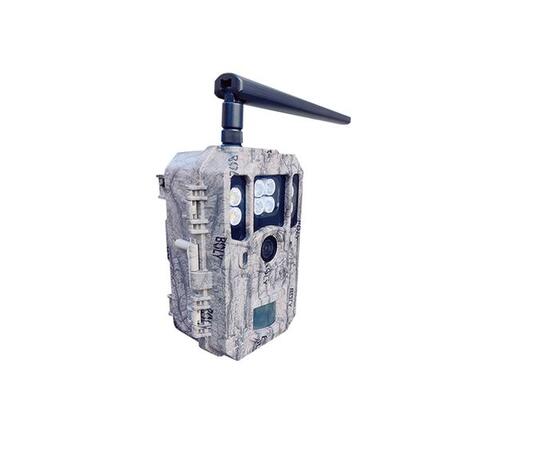 Фотоловушка BolyGuard SG2060-T, фото , изображение 2