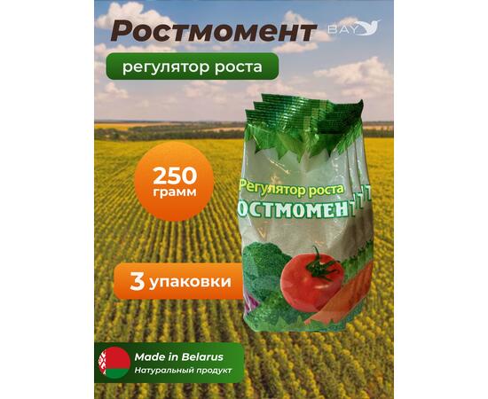 МДК Регулятор роста РОСТМОМЕНТ 250г, 3 пачки, фото 