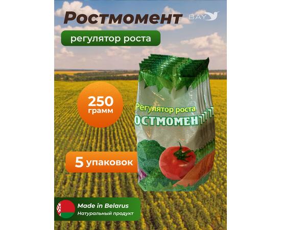 МДК Регулятор роста РОСТМОМЕНТ 250г, 5 пачек, фото 