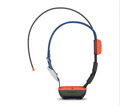 Ошейник Garmin Alpha T 20 EU-Nordic / RU, фото 