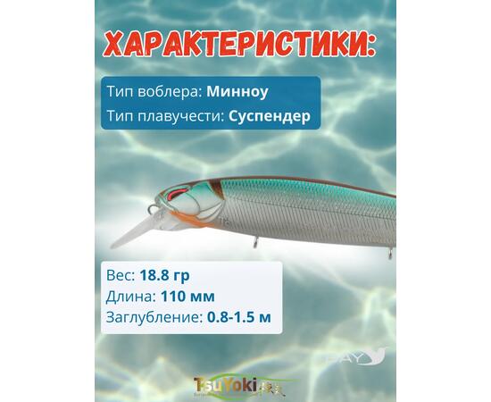 Воблер TsuYoki DIPLOMAT SR 110 SP WR002, Цвет: WR002, Вес воблера (г): 19, Длина воблера (мм): 110, фото , изображение 2