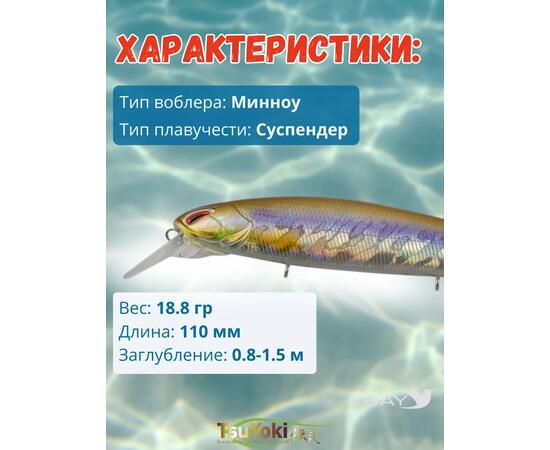 Воблер TsuYoki DIPLOMAT SR 110 SP 200, Цвет: 200, Вес воблера (г): 19, Длина воблера (мм): 110, фото , изображение 2