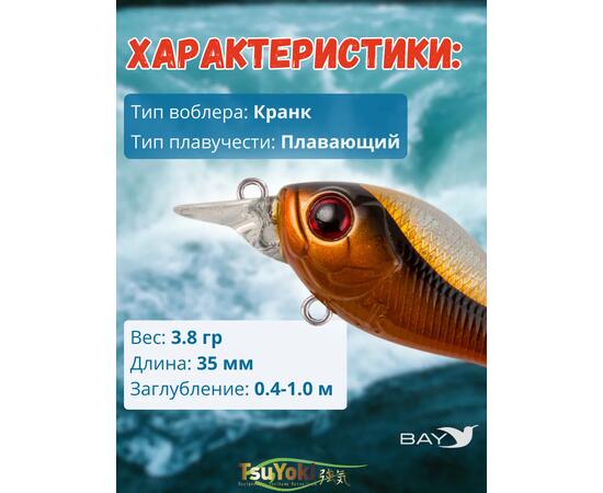 Воблер TsuYoki GAMBIT 35F SD001, Цвет: SD001, Вес воблера (г): 10, Длина воблера (мм): 35, фото , изображение 2