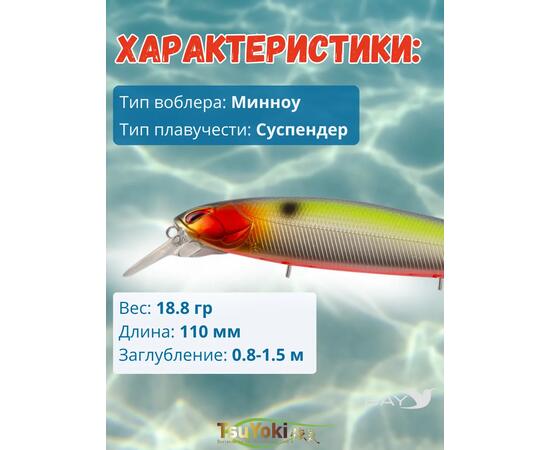 Воблер TsuYoki DIPLOMAT SR 110 SP 207R, Цвет: 207R, Вес воблера (г): 19, Длина воблера (мм): 110, фото , изображение 2