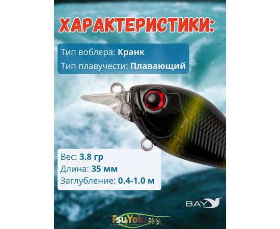 Воблер TsuYoki GAMBIT 35F 621, Цвет: 621, Вес воблера (г): 10, Длина воблера (мм): 35, фото , изображение 2