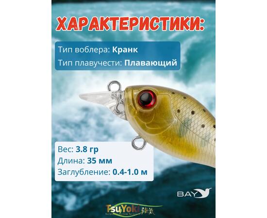 Воблер TsuYoki GAMBIT 35F WR010, Цвет: WR010, Вес воблера (г): 10, Длина воблера (мм): 35, фото , изображение 2