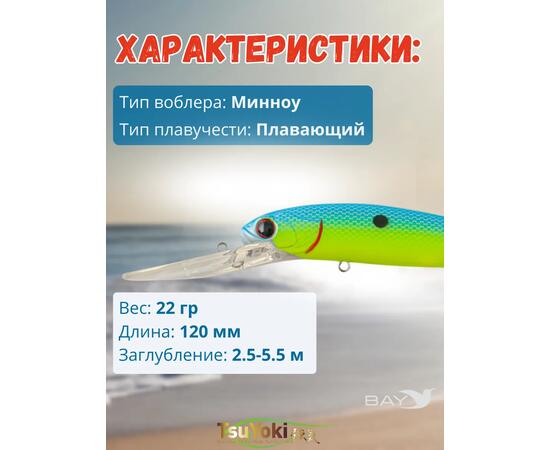 Воблер TsuYoki JASS 120F L614, Цвет: L614, Вес воблера (г): 22, Длина воблера (мм): 120, Тип воблера: Минноу, Тип плавучести воблера: плавающий, Штрихкод: 4627166013239, Количество крючков: 2, фото , изображение 2
