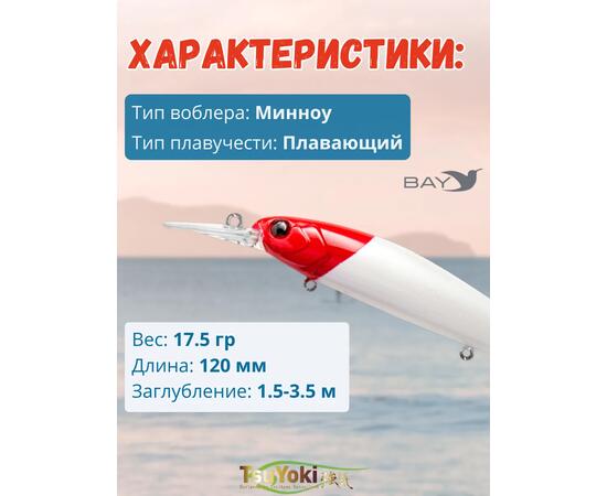 Воблер TsuYoki JASS SR 120F 443, Цвет: 443, Вес воблера (г): 17,5, Длина воблера (мм): 120, Тип воблера: Минноу, Тип плавучести воблера: плавающий, Штрихкод: 4627138882511, Количество крючков: 3, фото , изображение 2