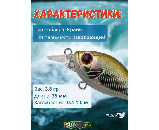 Воблер TsuYoki GAMBIT 35F WR006, Цвет: WR006, Вес воблера (г): 10, Длина воблера (мм): 35, фото , изображение 2