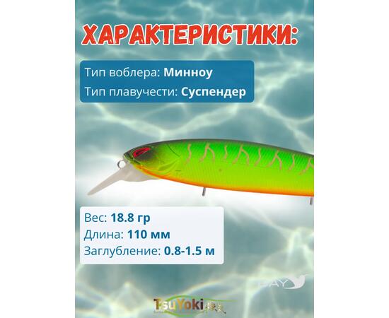 Воблер TsuYoki DIPLOMAT SR 110 SP 013, Цвет: 013, Вес воблера (г): 19, Длина воблера (мм): 110, фото , изображение 2