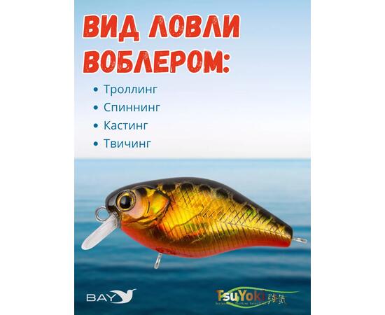 Воблер TsuYoki CHEF 38F 264G, Цвет: 264G, Вес воблера (г): 4,3, Длина воблера (мм): 38, Тип воблера: Крэнк, Тип плавучести воблера: плавающий, Штрихкод: 462713996, Количество крючков: 2, фото , изображение 3