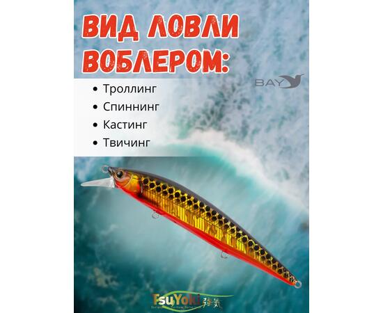 Воблер TsuYoki COLECTOR 110SP 264G, фото , изображение 3