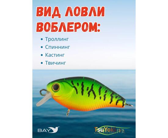 Воблер TsuYoki CHEF 38F 050, Цвет: 50, Вес воблера (г): 4,3, Длина воблера (мм): 38, Тип воблера: Крэнк, Тип плавучести воблера: плавающий, Штрихкод: 4627139943686, Количество крючков: 2, фото , изображение 3