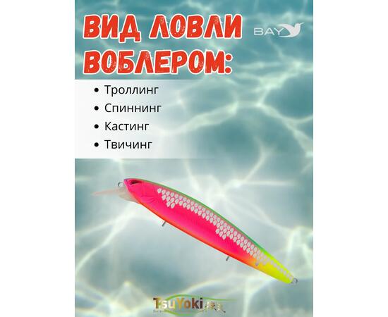 Воблер TsuYoki DIPLOMAT SR 110 SP FRUS, Цвет: FRUS, Вес воблера (г): 19, Длина воблера (мм): 110, фото , изображение 3