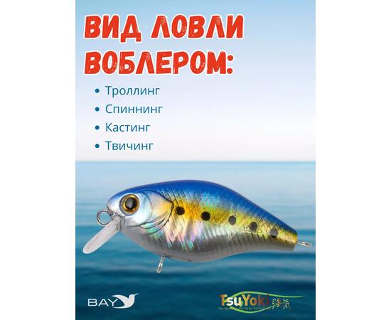 Воблер TsuYoki CHEF 38F X100, Цвет: X100, Вес воблера (г): 4,3, Длина воблера (мм): 38, Тип воблера: Крэнк, Тип плавучести воблера: плавающий, Штрихкод: 462713999, Количество крючков: 2, фото , изображение 3