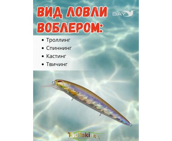 Воблер TsuYoki DIPLOMAT SR 110 SP 200, Цвет: 200, Вес воблера (г): 19, Длина воблера (мм): 110, фото , изображение 3