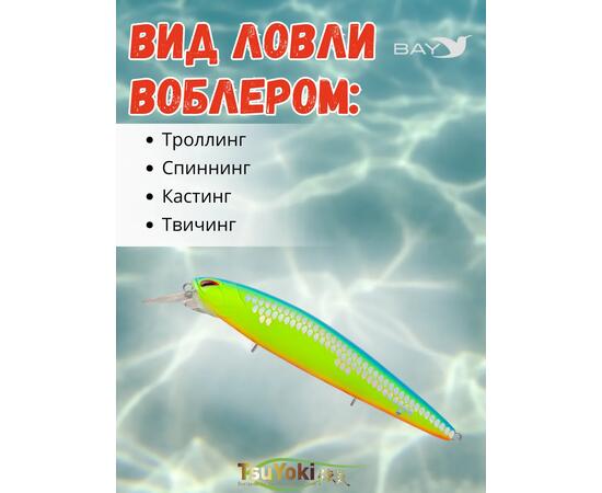 Воблер TsuYoki DIPLOMAT SR 110 SP 259, Цвет: 259, Вес воблера (г): 19, Длина воблера (мм): 110, фото , изображение 3