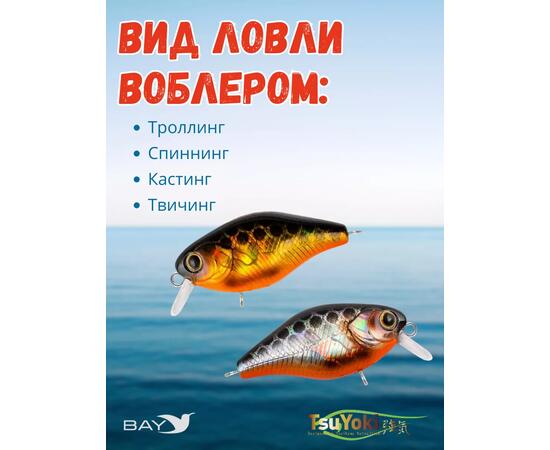Воблер TsuYoki CHEF 38F 264W, Цвет: 264W, Вес воблера (г): 4,3, Длина воблера (мм): 38, Тип воблера: Крэнк, Тип плавучести воблера: плавающий, Штрихкод: 462713997, Количество крючков: 2, фото , изображение 3