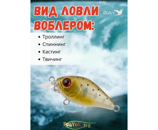 Воблер TsuYoki GAMBIT 35F WR010, Цвет: WR010, Вес воблера (г): 10, Длина воблера (мм): 35, фото , изображение 3