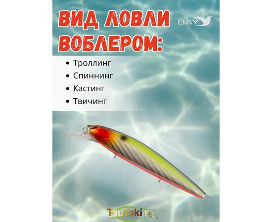Воблер TsuYoki DIPLOMAT SR 110 SP 207R, Цвет: 207R, Вес воблера (г): 19, Длина воблера (мм): 110, фото , изображение 3