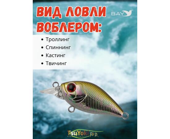 Воблер TsuYoki GAMBIT 35F WR006, Цвет: WR006, Вес воблера (г): 10, Длина воблера (мм): 35, фото , изображение 3
