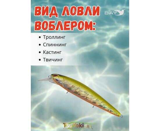 Воблер TsuYoki DIPLOMAT SR 110 SP 435R, Цвет: 435R, Вес воблера (г): 19, Длина воблера (мм): 110, фото , изображение 3