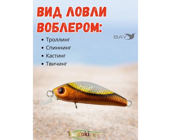 Воблер TsuYoki QUARK 38SP SD001, Цвет: SD001, Вес воблера (г): 3, Длина воблера (мм): 38, фото , изображение 3
