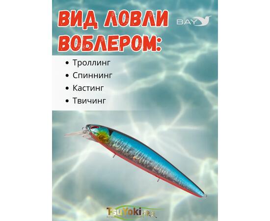 Воблер TsuYoki DIPLOMAT SR 110 SP 014R, Цвет: 014R, Вес воблера (г): 19, Длина воблера (мм): 110, фото , изображение 3