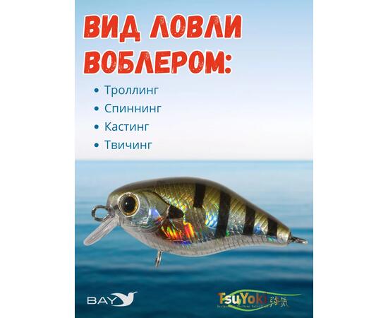 Воблер TsuYoki CHEF 38F 123, Цвет: 123, Вес воблера (г): 4,3, Длина воблера (мм): 38, Тип воблера: Крэнк, Тип плавучести воблера: плавающий, Штрихкод: 4627139943716, Количество крючков: 2, фото , изображение 3