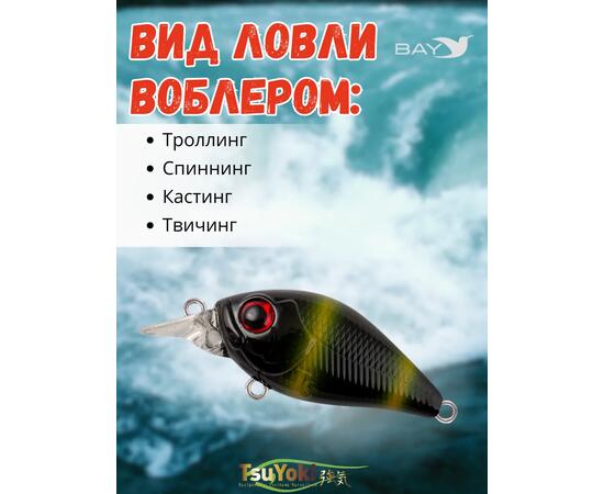 Воблер TsuYoki GAMBIT 35F 621, Цвет: 621, Вес воблера (г): 10, Длина воблера (мм): 35, фото , изображение 3