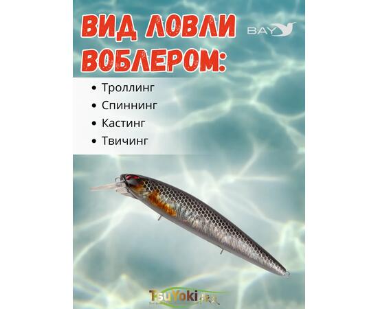 Воблер TsuYoki DIPLOMAT SR 110 SP 264N, Цвет: 264N, Вес воблера (г): 19, Длина воблера (мм): 110, фото , изображение 3